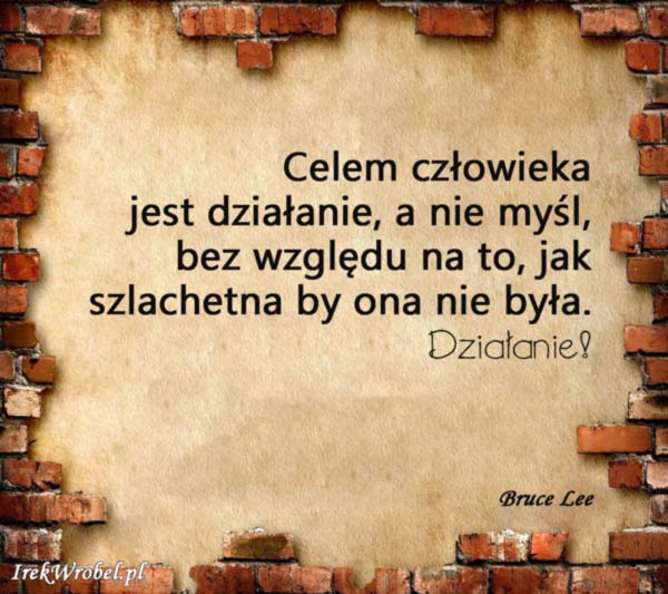 14-Celem-czlowieka-jest-dzialanie-a-nie-mysl,-bez-wzgledu-na-to-jak-szlachetna-by-ona-nie-byla-irekwrobel-pl