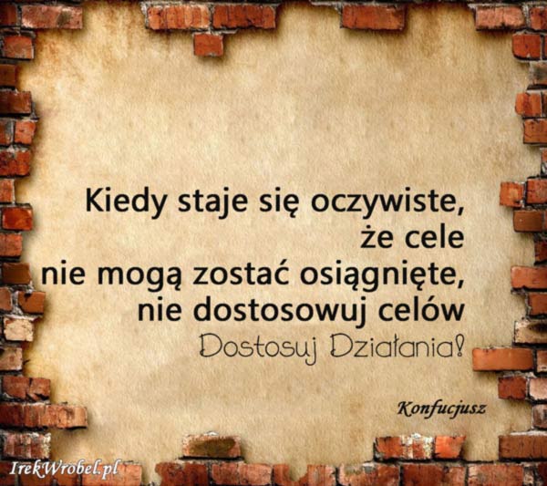 21-Kiedy-staje-sie-oczywiste-ze-cele-nie-moga-zostac-osiagnięte-nie-dostosowuj-celow,-dostosuj-działania-irekwrobel-pl
